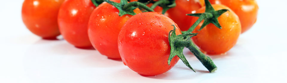 特别懂您的ddos工具下载