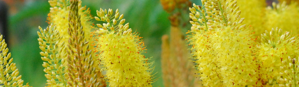 优质的ddos工具下载